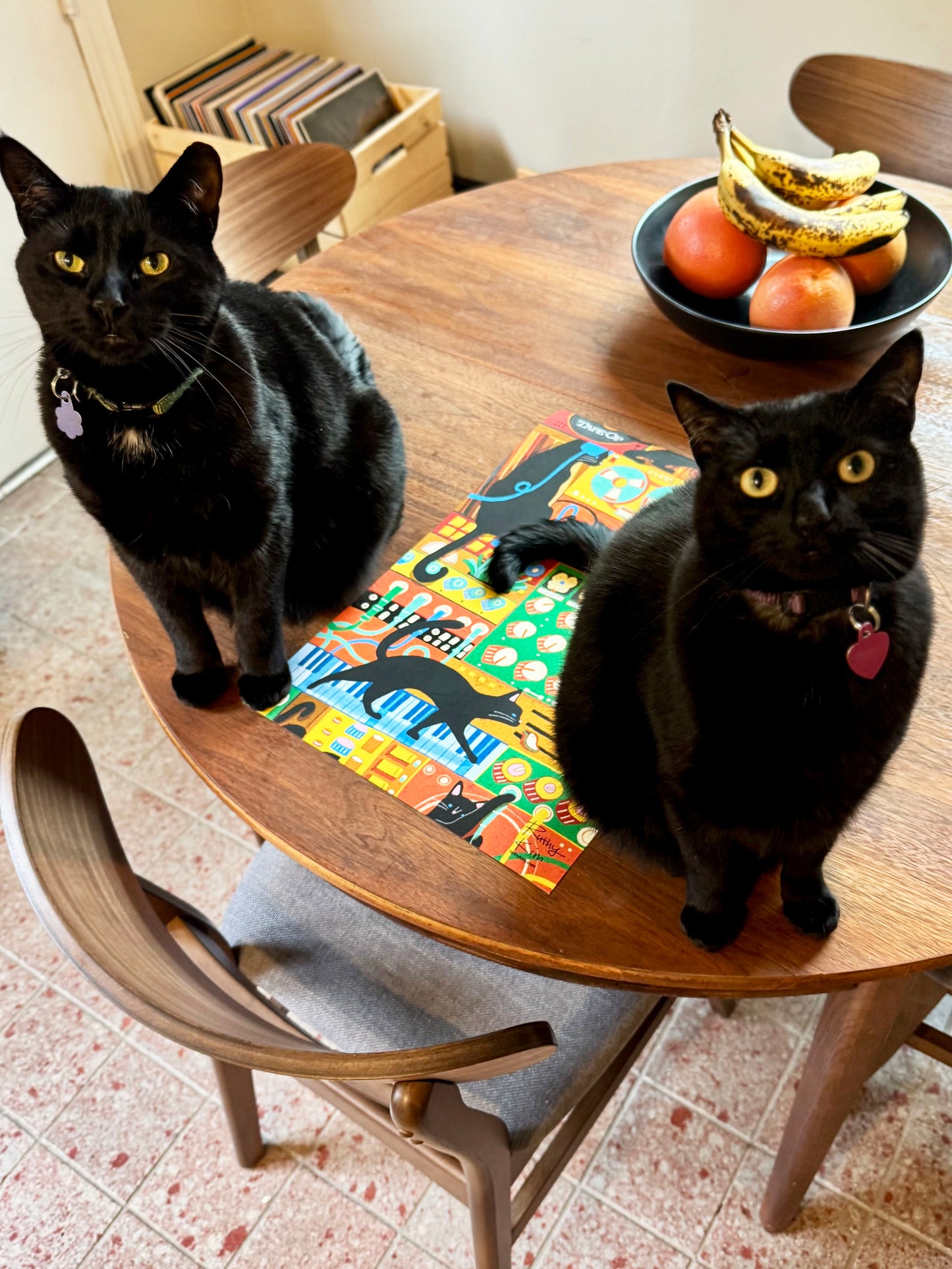 Tape Op #170 Cover Art Print